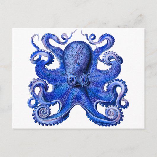 Haeckel Octopus Blue Postkarte (Vorderseite)
