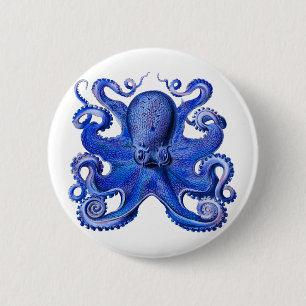 Haeckel Octopus Button