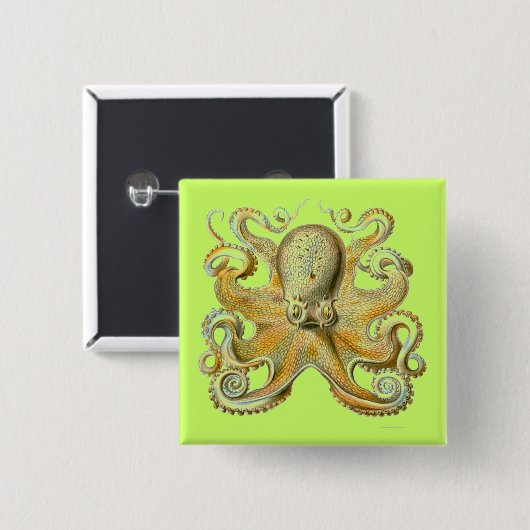 Haeckel Octopus Button (Vorne & Hinten)