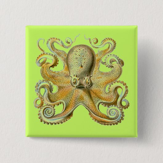 Haeckel Octopus Button (Vorderseite)