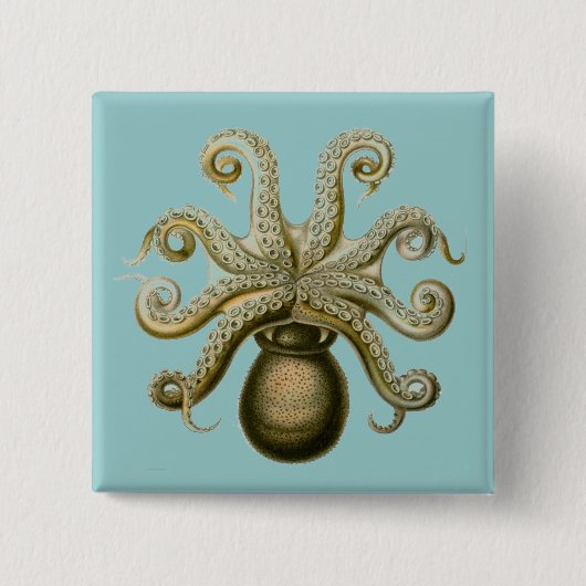 Haeckel Octopus Button (Vorderseite)