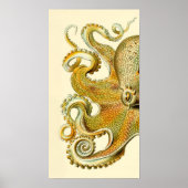 Haeckel Octopus Diptych II Poster (Vorne)