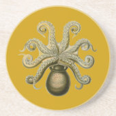 Haeckel Octopus Getränkeuntersetzer (Vorne)