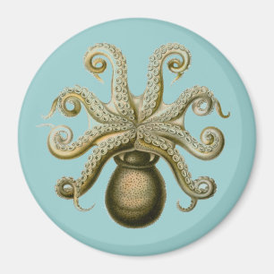 Haeckel Octopus Magnet