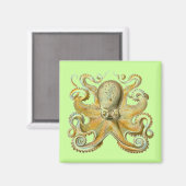 Haeckel Octopus Magnet (Vorderseite/Rückseite)