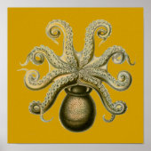 Haeckel Octopus Poster (Vorne)