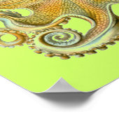 Haeckel Octopus Poster (Ecke)