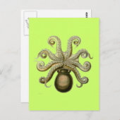 Haeckel Octopus Postkarte (Vorne/Hinten)
