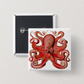 Haeckel Octopus rot Button (Vorne & Hinten)