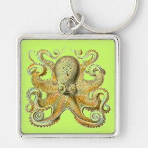 Haeckel Octopus Schlüsselanhänger
