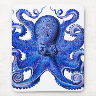 Haeckel Oktopus Blau Mousepad