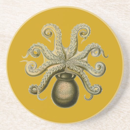 Haeckel Oktopus Getränkeuntersetzer (Vorne)