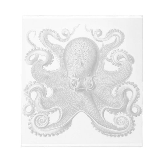 Haeckel Oktopus Notizblock (Vorderseite)