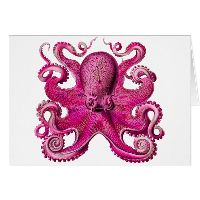 Haeckel-Oktopus-Rosa (Vorderseite (Horizontal))