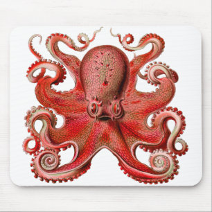 Haeckel Oktopus Rot Mousepad