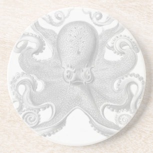 Haeckel-Oktopus-Unterlage Sandstein Untersetzer