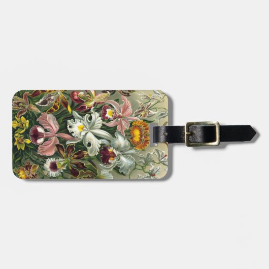 Haeckel Orchidae Gepäckanhänger (Vorderseite horizontal)