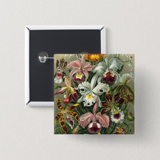 Haeckel Orchids Button (Vorne & Hinten)