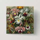 Haeckel Orchids Button (Vorderseite)