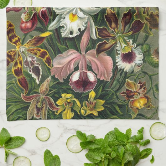 Haeckel Orchids Handtuch (Gefaltet)