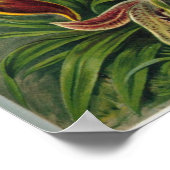 Haeckel Orchids Print Poster (Ecke)