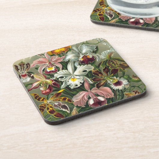 Haeckel Orchids Untersetzer (Linke Seite)