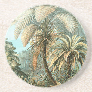 Haeckel Palm Trees Getränkeuntersetzer