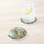 Haeckel Palm Trees Getränkeuntersetzer (Seite)