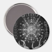 Haeckel Phaeodaria Magnet (Vorderseite/Rückseite)
