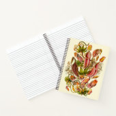 Haeckel Pitcher Pflanze Vintag Illustration Notizblock (Innenseite)