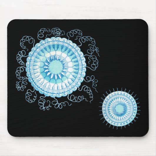 Haeckel Qualle Mousepad (Vorne)