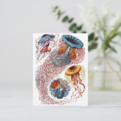 Haeckel Qualle Postkarte (Stehend Vorderseite)