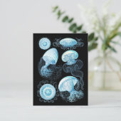 Haeckel Qualle Postkarte (Stehend Vorderseite)