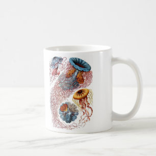 Haeckel Quallen Kaffeetasse