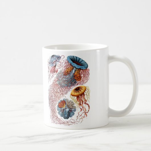 Haeckel Quallen Kaffeetasse (Rechts)