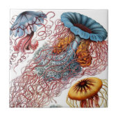 Haeckel Quallen-Keramiken Fliese (Vorderseite)