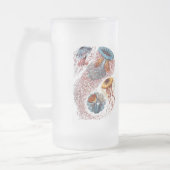 Haeckel Quallen Mattglas Bierglas (Links)