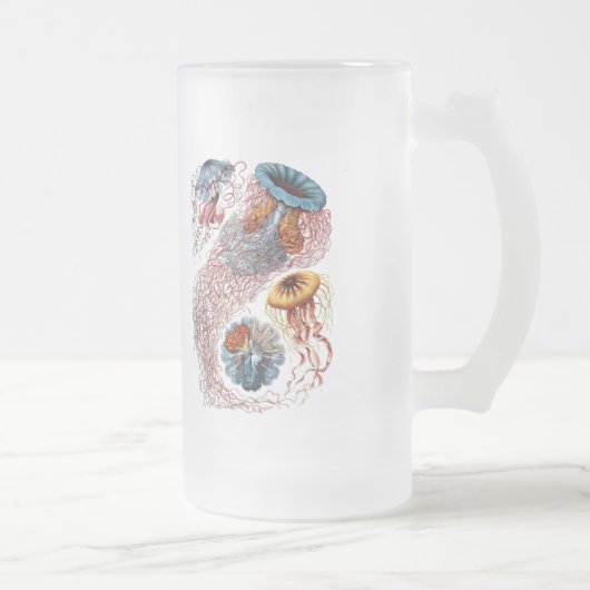 Haeckel Quallen Mattglas Bierglas (Rechts)