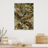 Haeckel Reptiles Poster (Küche)