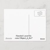 Haeckel Reptiles Postkarte (Rückseite)