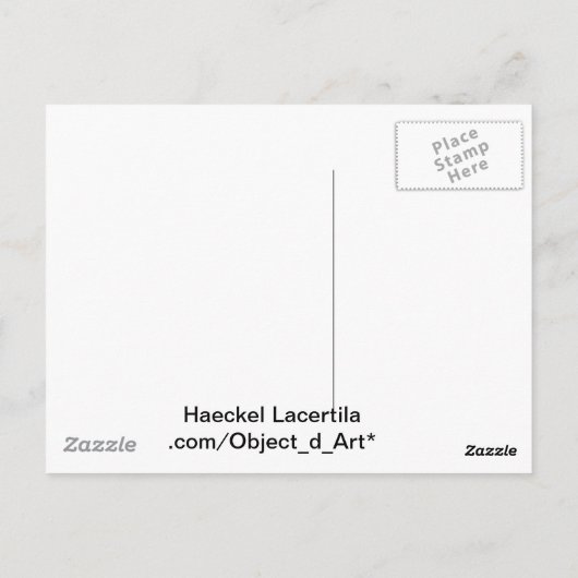 Haeckel Reptiles Postkarte (Rückseite)