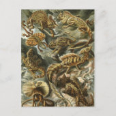 Haeckel Reptiles Postkarte (Vorderseite)
