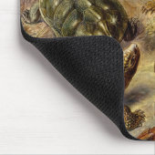 Haeckel-Schildkröten Mousepad (Ecke)