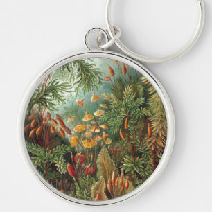 Haeckel Schlüsselanhänger