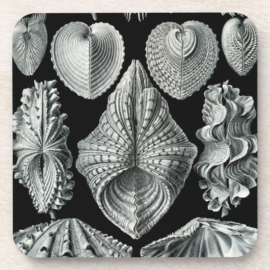 Haeckel Schwarz Getränkeuntersetzer (Vorderseite)
