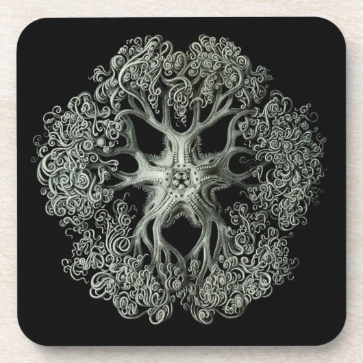 Haeckel Schwarz Getränkeuntersetzer (Vorderseite)