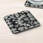 Haeckel Schwarz Untersetzer (Linke Seite)