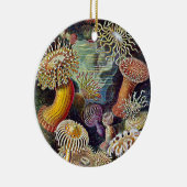 Haeckel Sea Anemone Ocean Life Naturschönheiten Ma Keramikornament (Rechts)