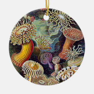Haeckel Sea Anemone Ocean Life Naturschönheiten Ma Keramikornament