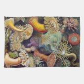 Haeckel Sea Urchins Geschirrtuch (Horizontal)